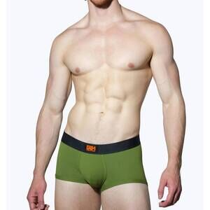 NEW GARCON MODEL brooklyn trunk in green